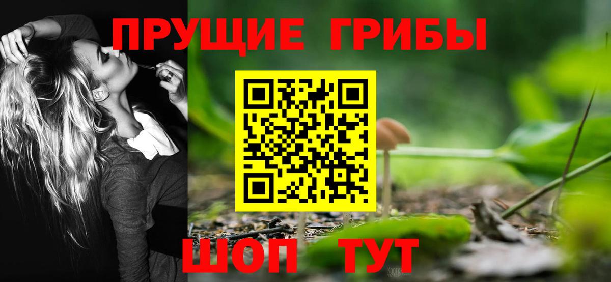 Галлюциногенные грибы Psilocybe  Вход с VPN  Электросталь 